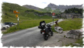 Älggialp