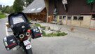 Tannen (Wilisegg)