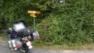 Haselstuden