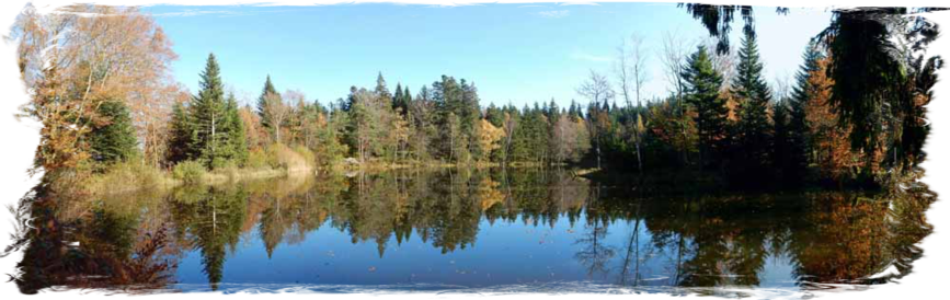 L'Etang Noir