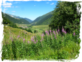 Oberalppass Richtung Ilanz