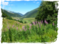 Oberalppass Richtung Ilanz