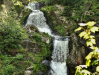 Triberger Wasserfälle