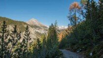 Schweizerischen Nationalpark