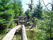 lotharpfad